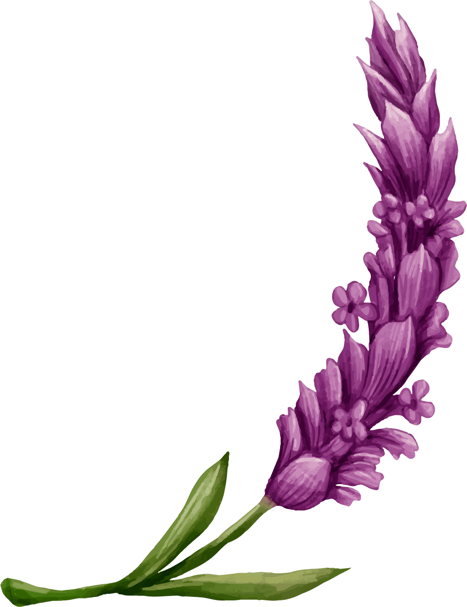 Decorative Top Left
